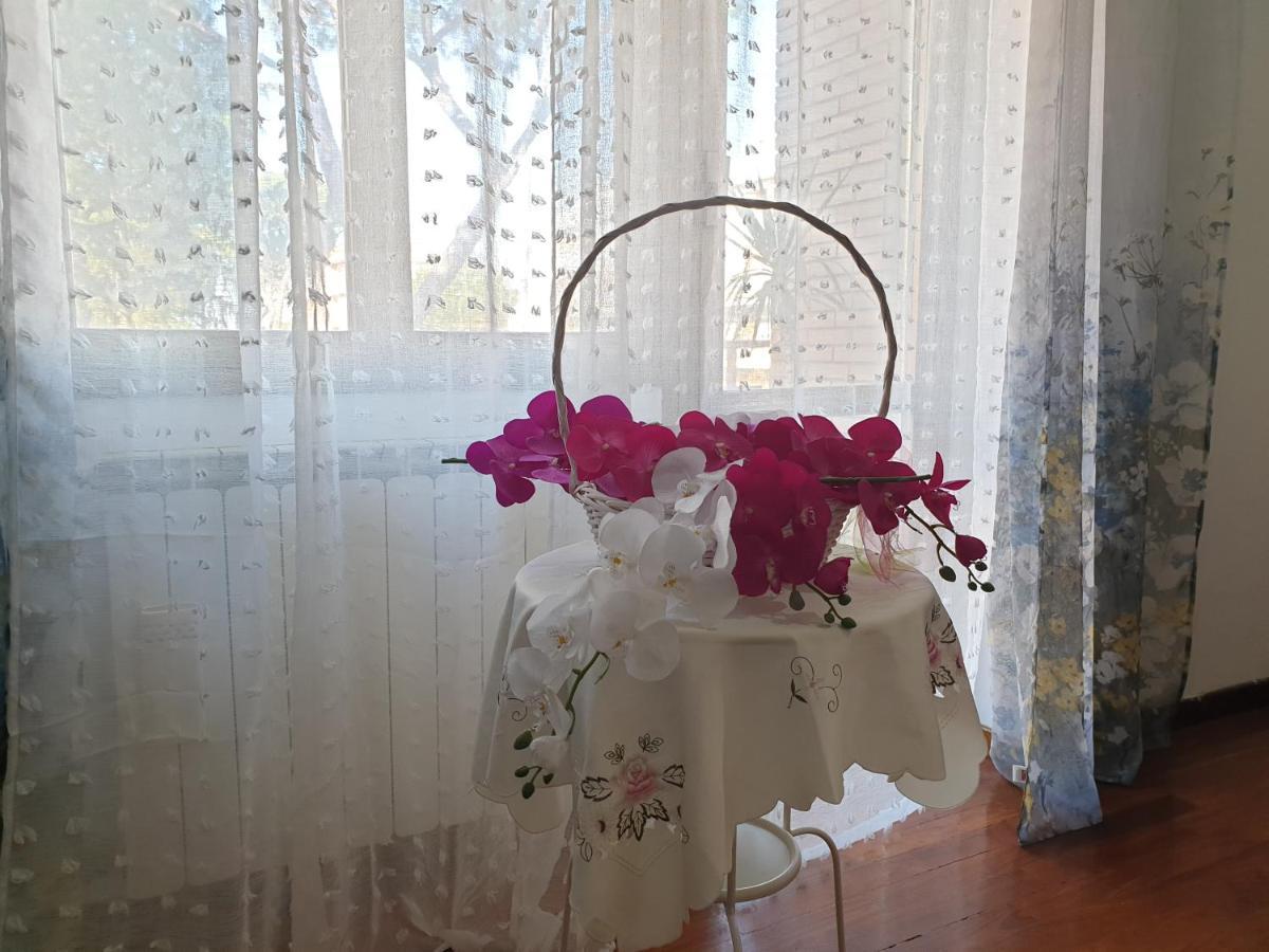 B&B Mary'S House ชัมปีโน ภายนอก รูปภาพ